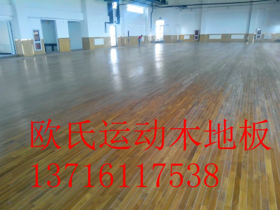 楓木運動木地板價格