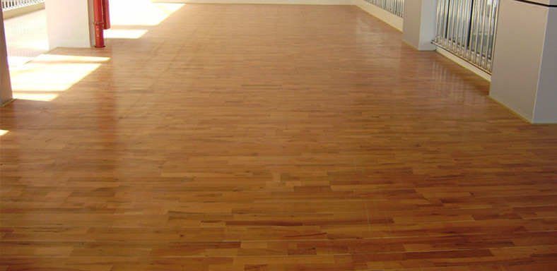 楓木運動木地板