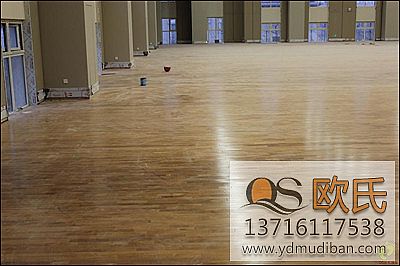 楓木材質的實木運動地板主要運用在那些場所