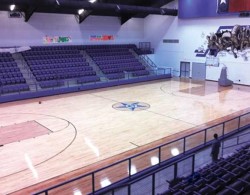 尋求籃球木地板品牌排行