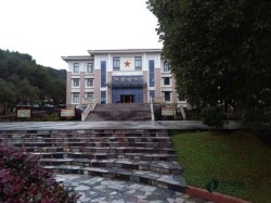 去哪買體育場館木地板廠家報價