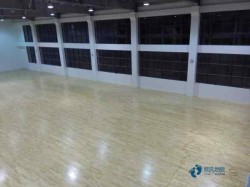 哪有體育地板哪種牌子好