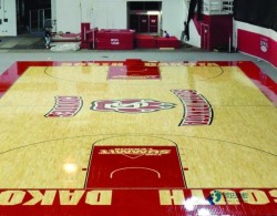 尋求運動館地板較好的