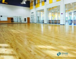 那有體育場館地板公司