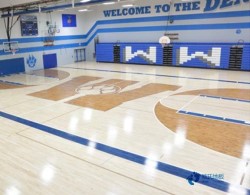 尋求運動場地地板行業品牌