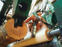 室內籃球運動木地板安裝公司