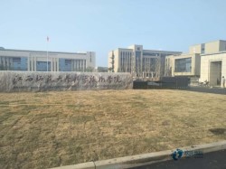 松木籃球體育木地板清潔保養