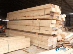 學校運動場地木地板廠家報價