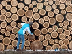 22mm厚運動型地板廠家報價