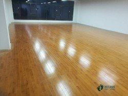 哪有體育場木地板較好的有哪些牌子