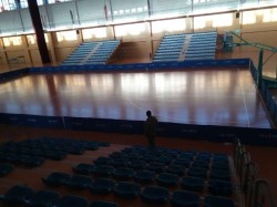 尋求運動場館地板行業品牌