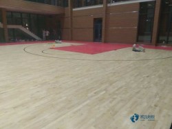 籃球運動木地板哪家性價比高