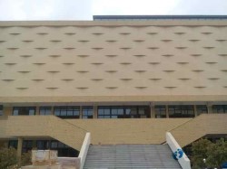 一般運動場地板施工團隊