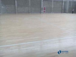 哪有體育場地板哪些牌子好