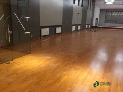 尋求體育籃球地板行業品牌