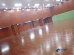 籃球木地板平米價