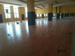 哪有體育場地木地板哪個牌子環保