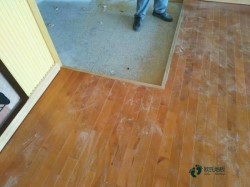 尋求運動場館木地板什么牌子好