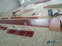 楓樺木體育場館地板維護保養