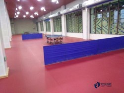 尋求運動場地地板品牌大全