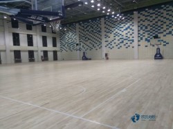 尋求運動場地地板哪個品牌好