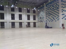 哪有體育運動木地板哪些牌子好