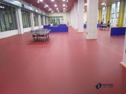 尋求運動地板哪個牌子較好