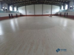 那里有運動木地板公司