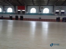 哪有體育場木地板公司