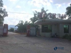 籃球運動木地板較低價格