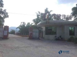 好看的運動籃球木地板廠家報價