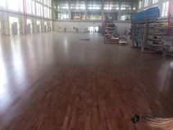 尋求運動場館木地板哪個牌子環保