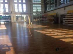 尋求體育籃球地板哪個牌子的好