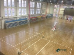 哪有體育地板品牌有哪些