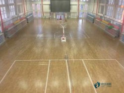 哪有運動場地板品牌排行