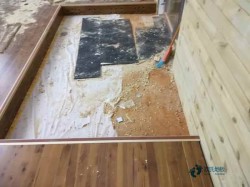 籃球場地木地板價格是多少