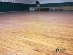 優惠的體育場館地板生產公司