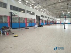 松木體育運動木地板環保