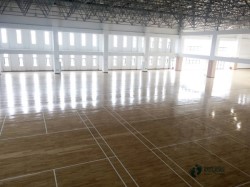 行業運動館木地板安裝公司