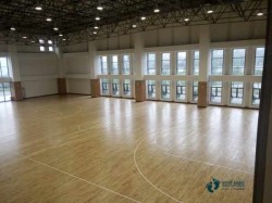 尋求籃球體育地板哪個牌子較環保