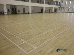 尋求籃球場館地板較好的