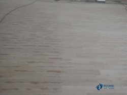 楓樺木運動場木地板保養知識