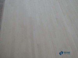 普通籃球場地木地板施工隊