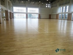 哪有體育籃球木地板較好的