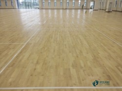 尋求運動體育木地板品牌排行榜