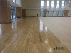 去哪買運動木地板廠家報價