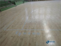 籃球館木地板施工價格