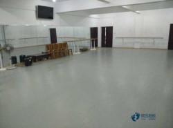 哪有體育地板哪個牌子比較好