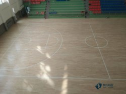 學校籃球場地板檢測