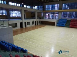 籃球場館木地板價格低
